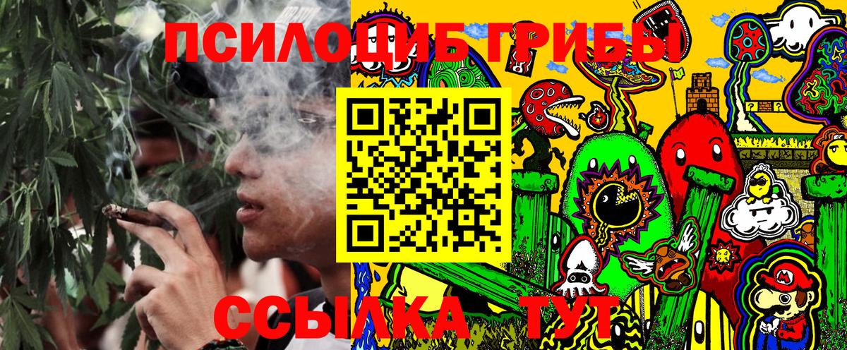 Галлюциногенные грибы Psilocybine cubensis  Псилоцибиновые грибы прущие грибы  Анжеро-Судженск  Вход с VPN 