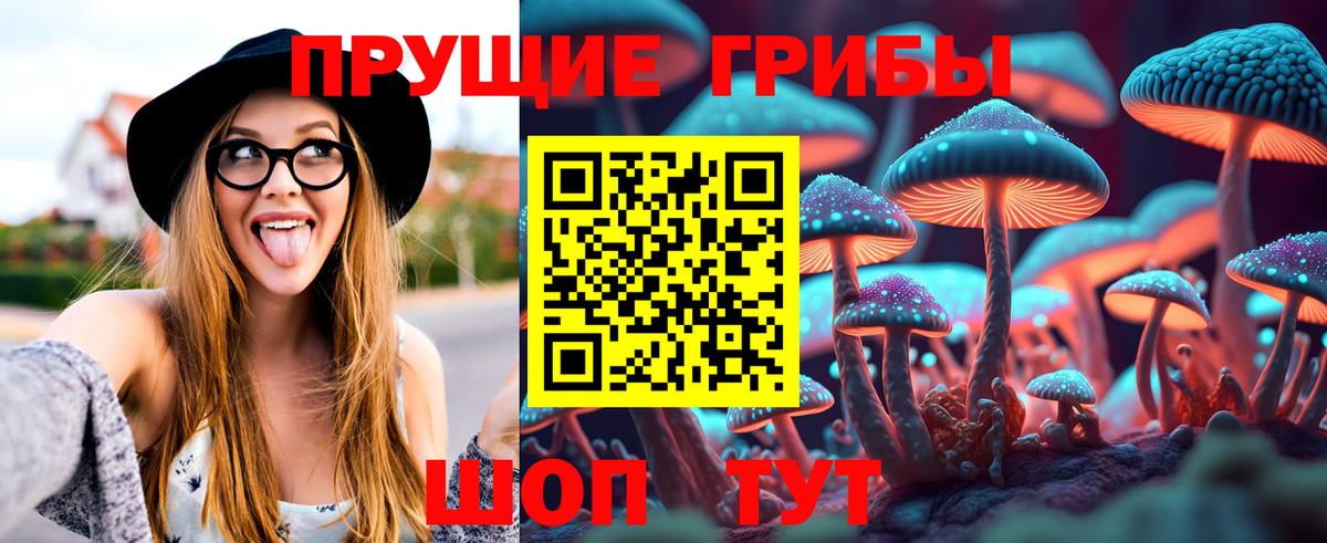 Псилоцибиновые грибы GOLDEN TEACHER Анжеро-Судженск